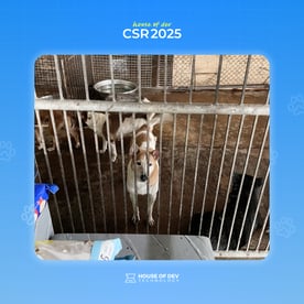 CSR2025 8